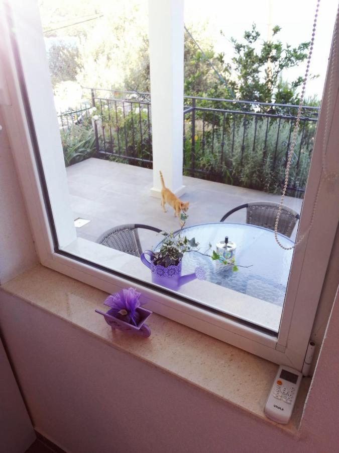 Apartmani Skalinada Marina Exteriér fotografie
